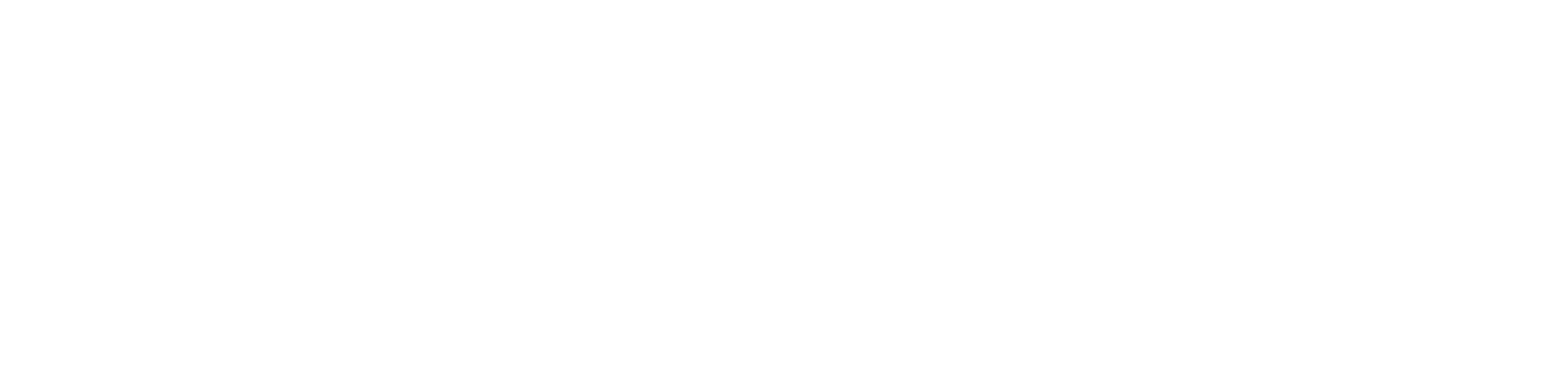 partner logobaus